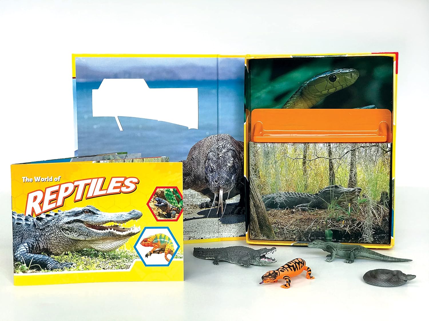 Pocket Explorer: Reptiles – Popular Book Company Pte Ltd