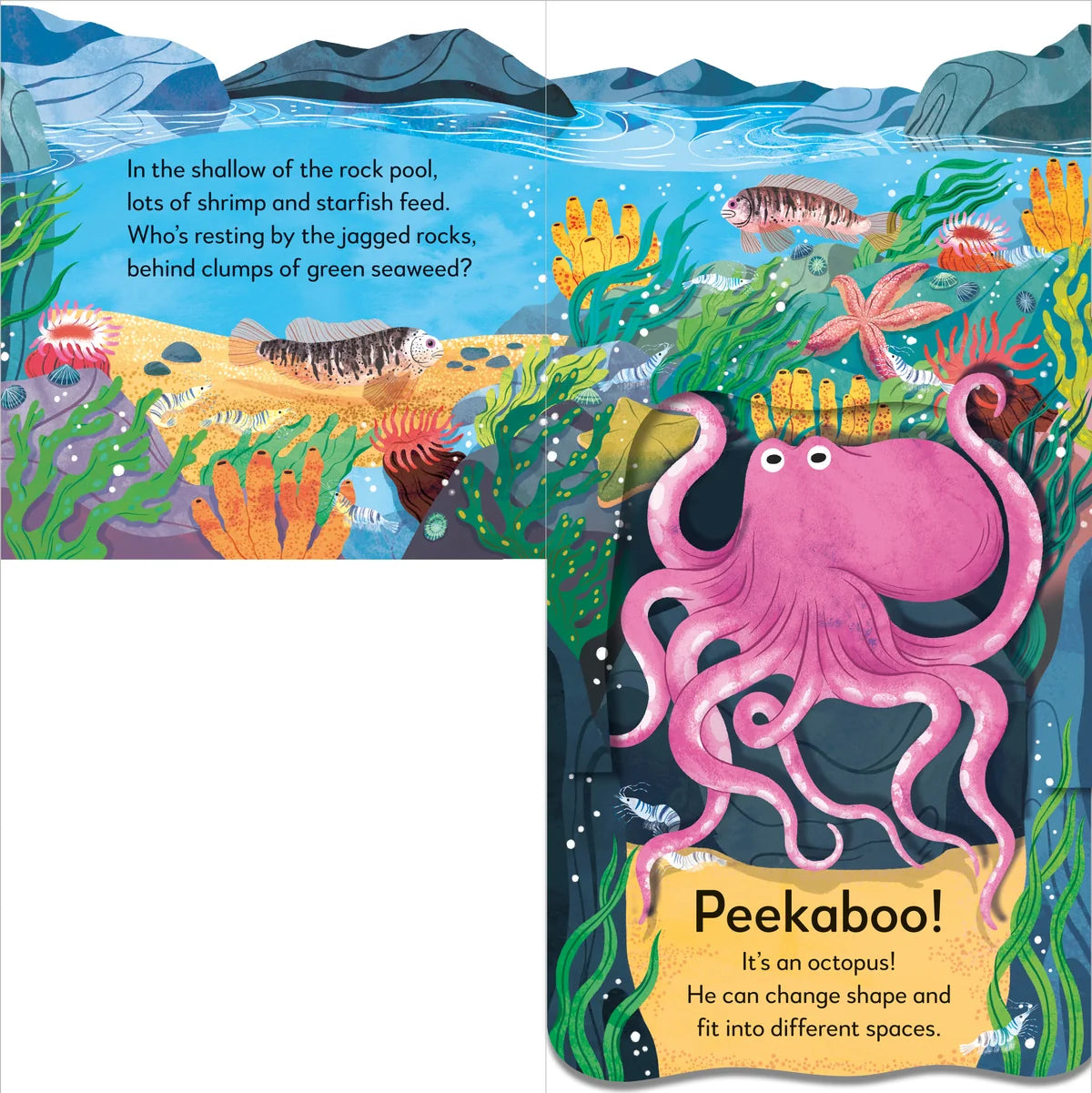 Pop Up Peekaboo! Seashore (Board Book)