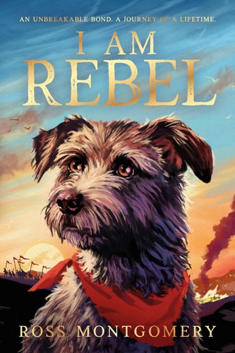 I Am Rebel (Paperback)