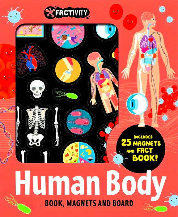 Factivity Magnetic Folder - Human Body - Novelty Book