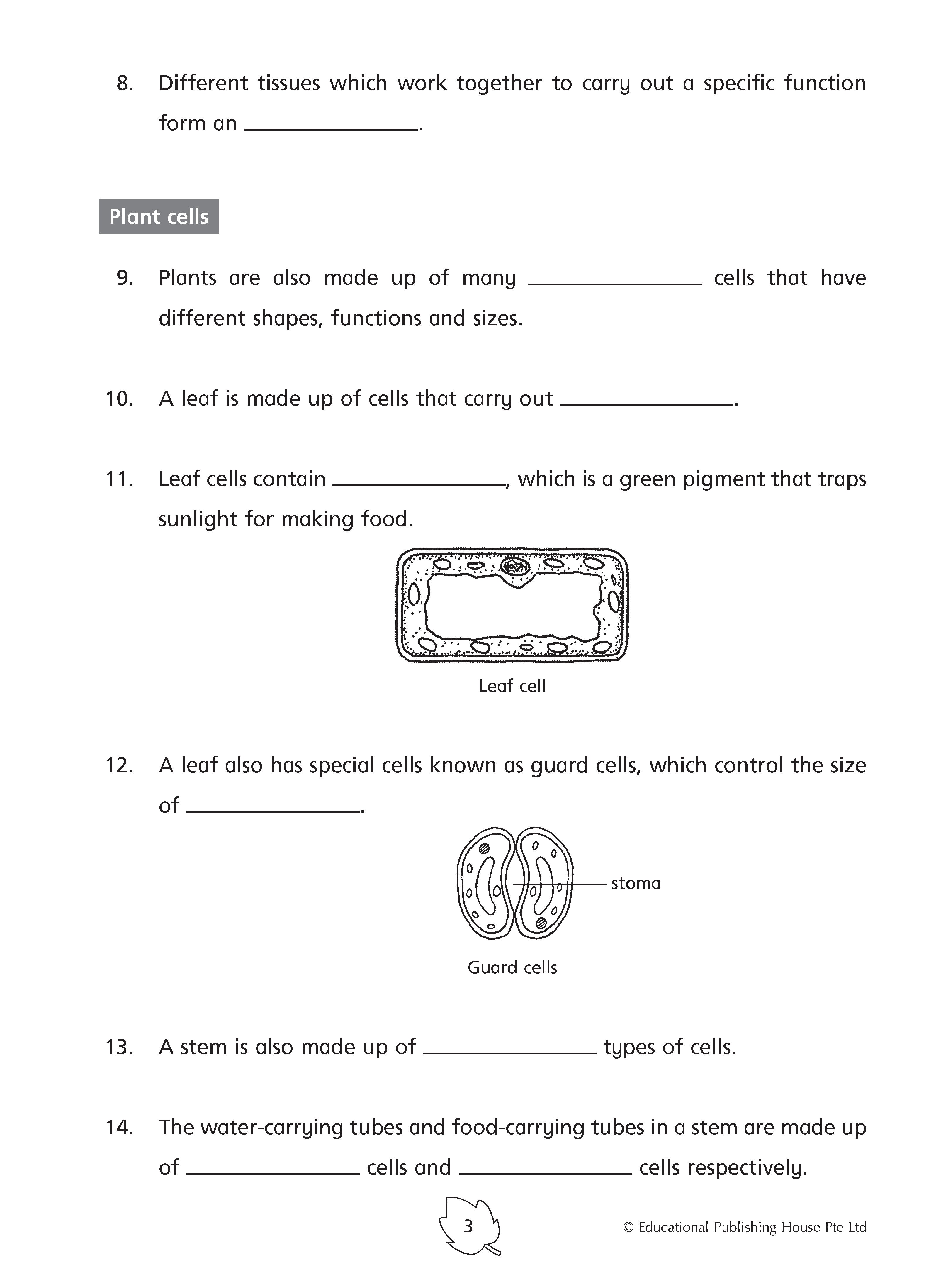 Primary 5 Science Practice 1000+ -3rd Edition