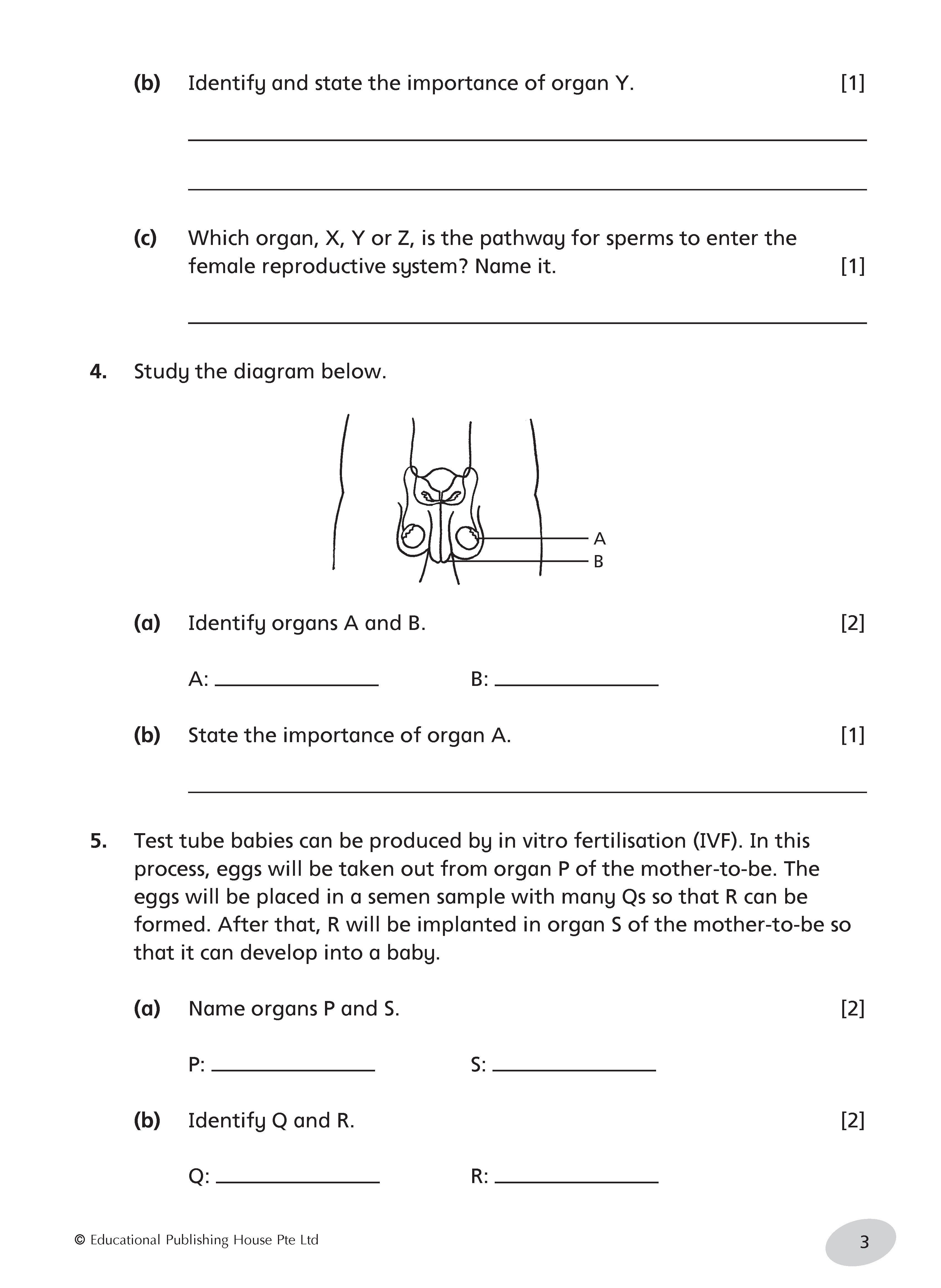 Primary 5 Science Tests