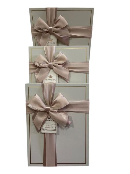 Gift Box (L) 29*21*9.5 Y91307