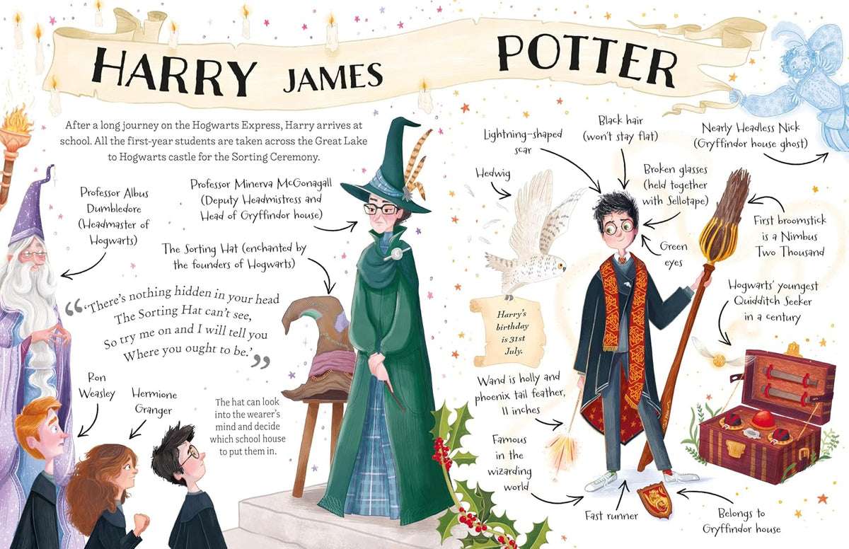 Harry Potter (Pocket Potters – Little Guides to the HARRY POTTER stories) Hardcover