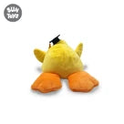 Uw 12 Graduation Yellow Duck