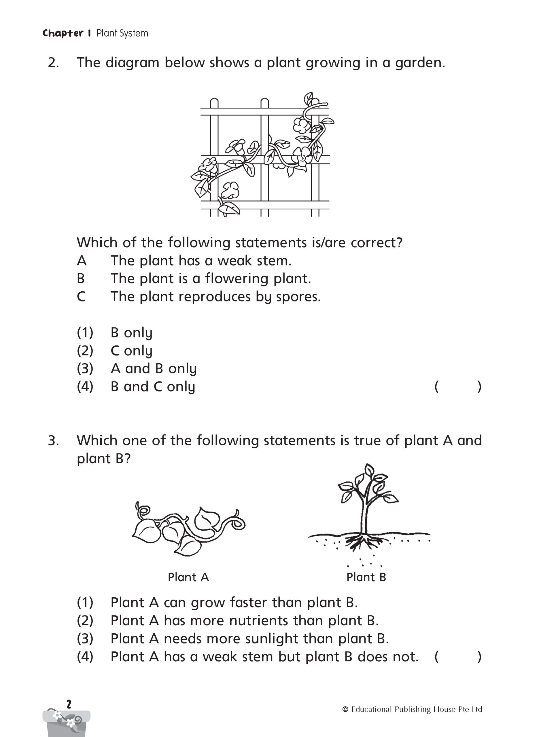 Primary 4 Science Progressive Practice