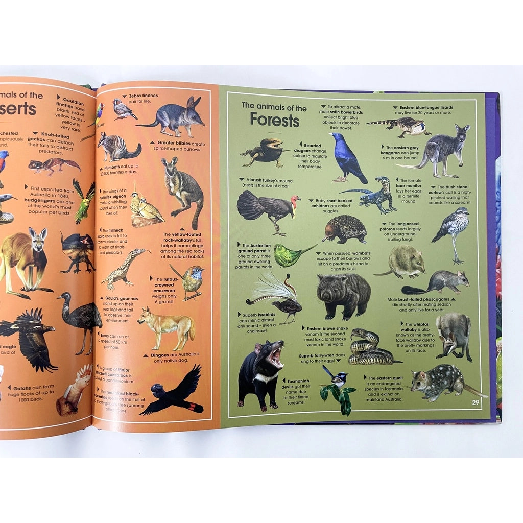 Discover The Animals Of Australia (For Kids With Beautiful Illustrations & Stories) – Hardcover
