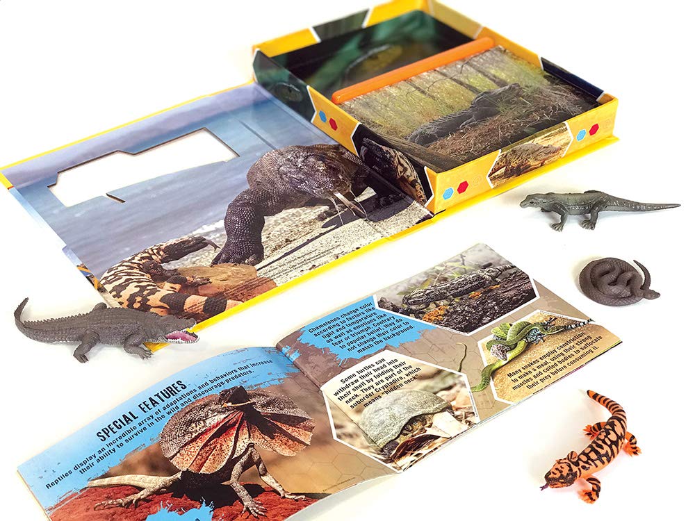 Pocket Explorer: Reptiles