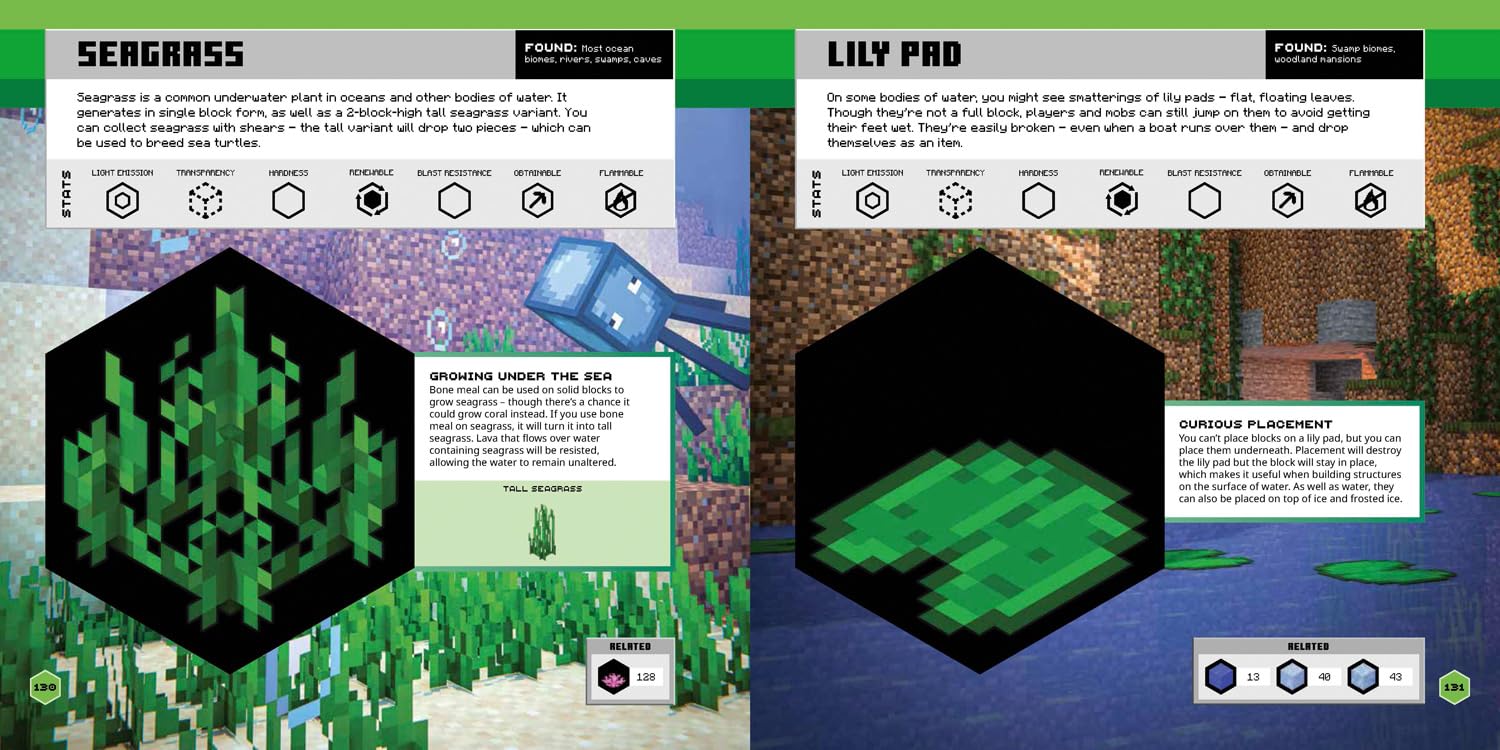 Minecraft Official Blocks Guide (Hardcover)