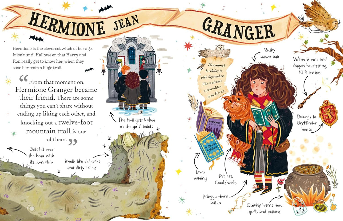 Harry Potter Pocket Potters: Hermione Granger (Hardback)