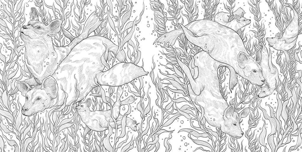 Dream Menagerie: A Hybrid Animals Colouring Book (Paperback)