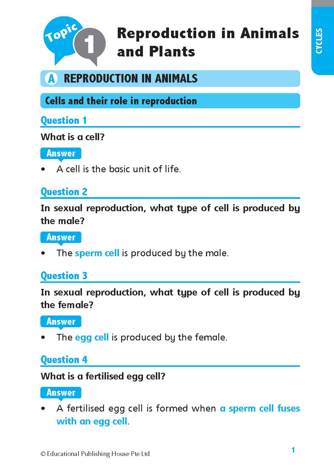 Primary 5 Science Quick And Effective Q&A