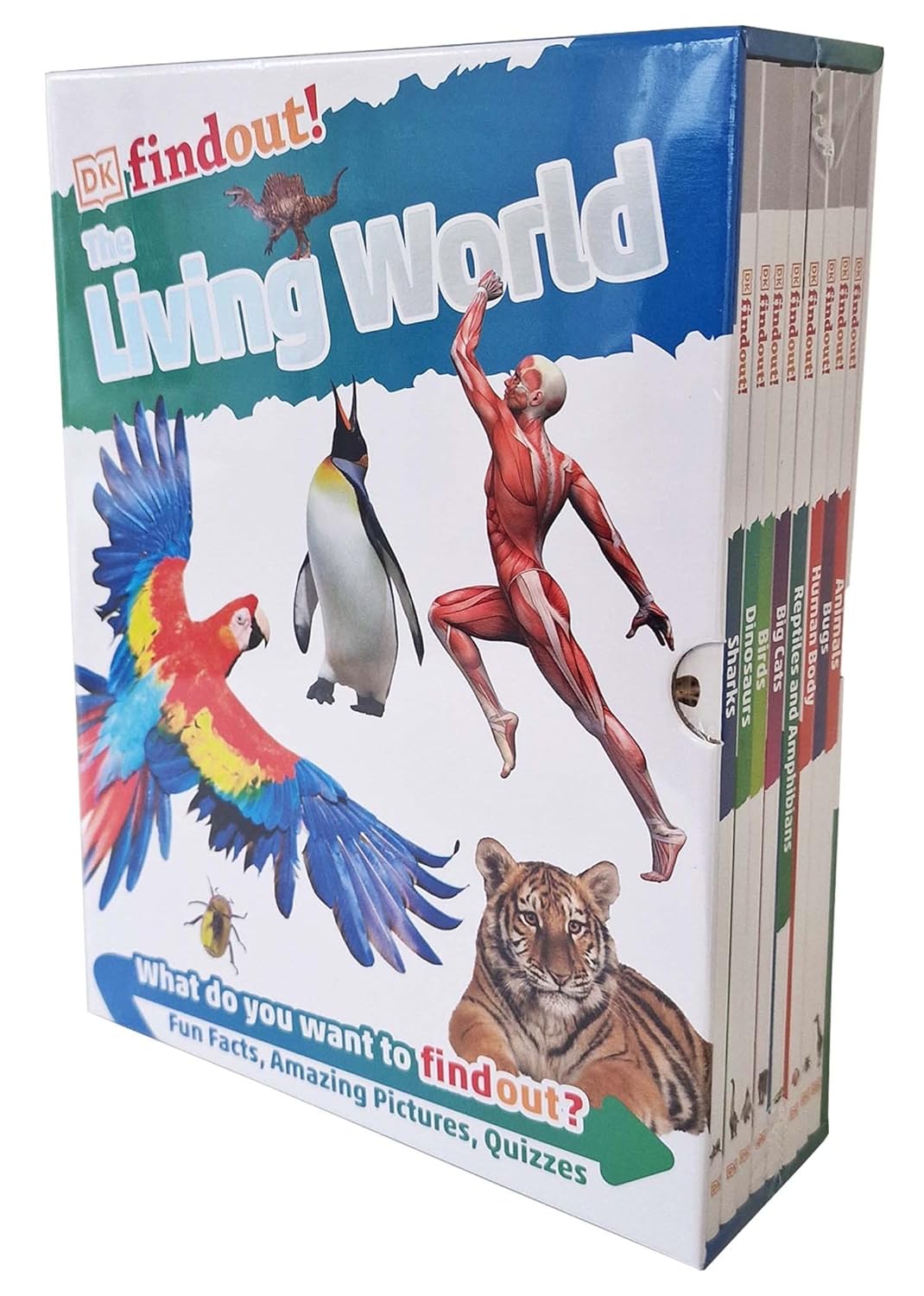 DKfindout!: The Living World Collection 8 Books Box Set