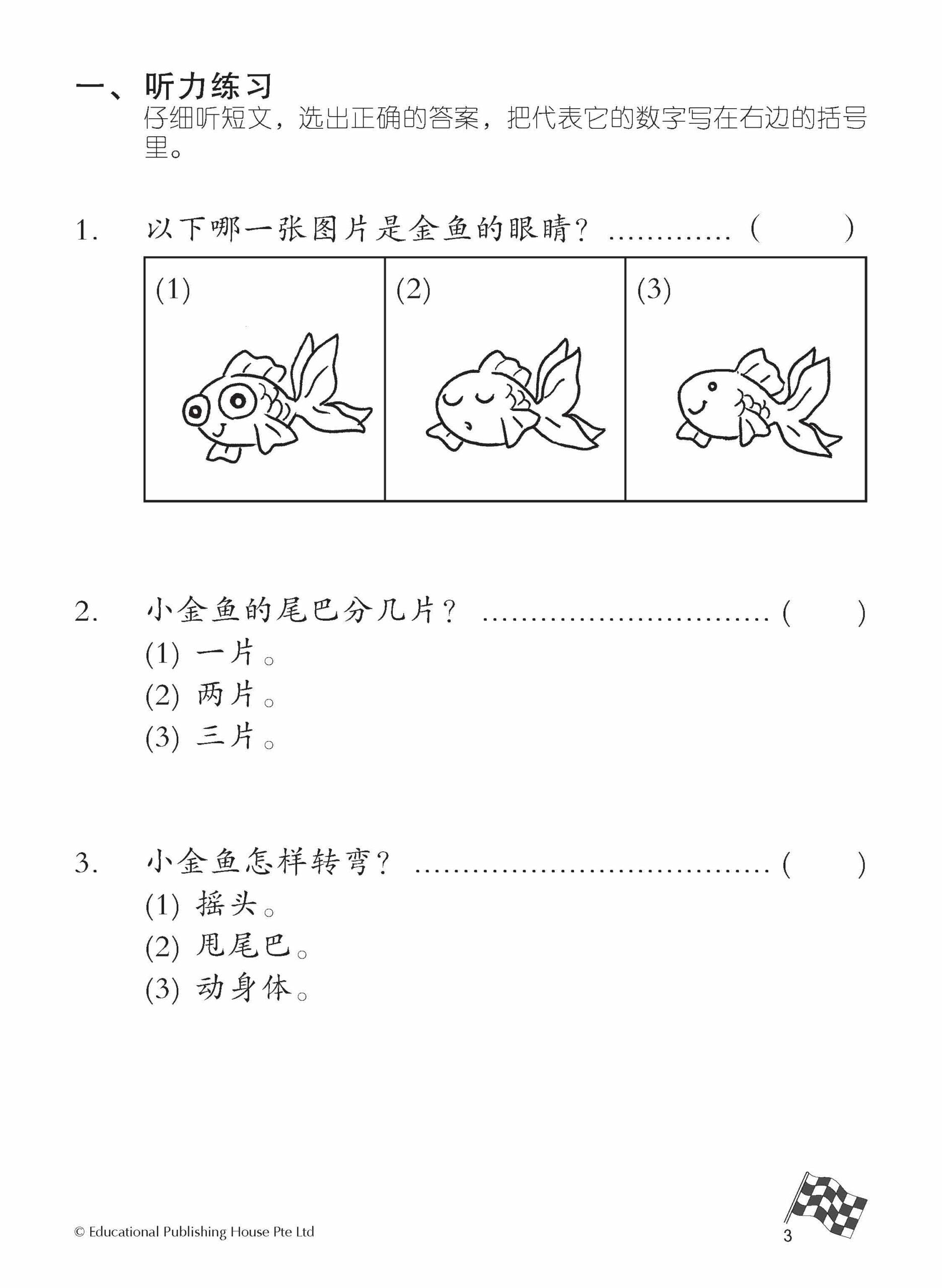 Primary 3B Higher Chinese Daily Intensive Practice 高级华文每日精练