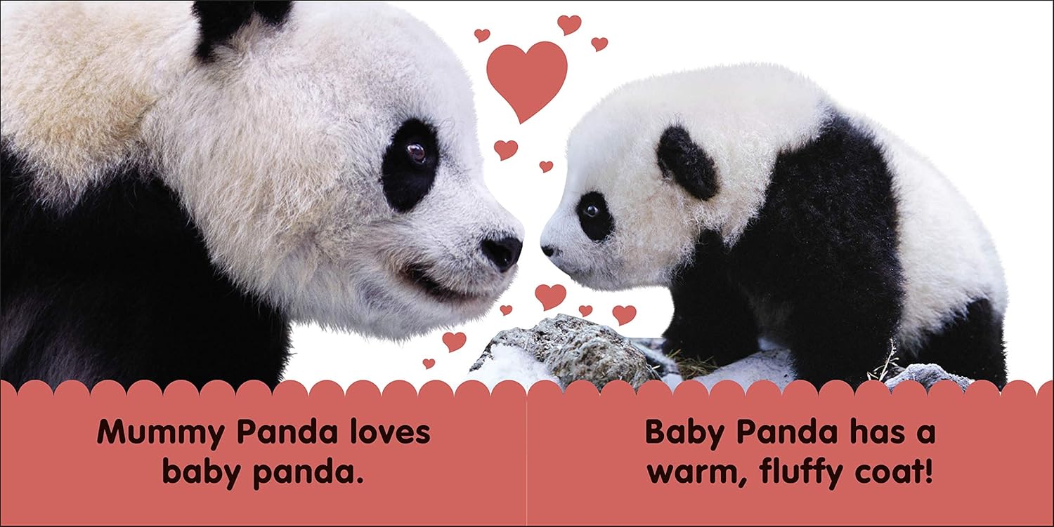 Baby Touch and Feel Panda (Paperback)