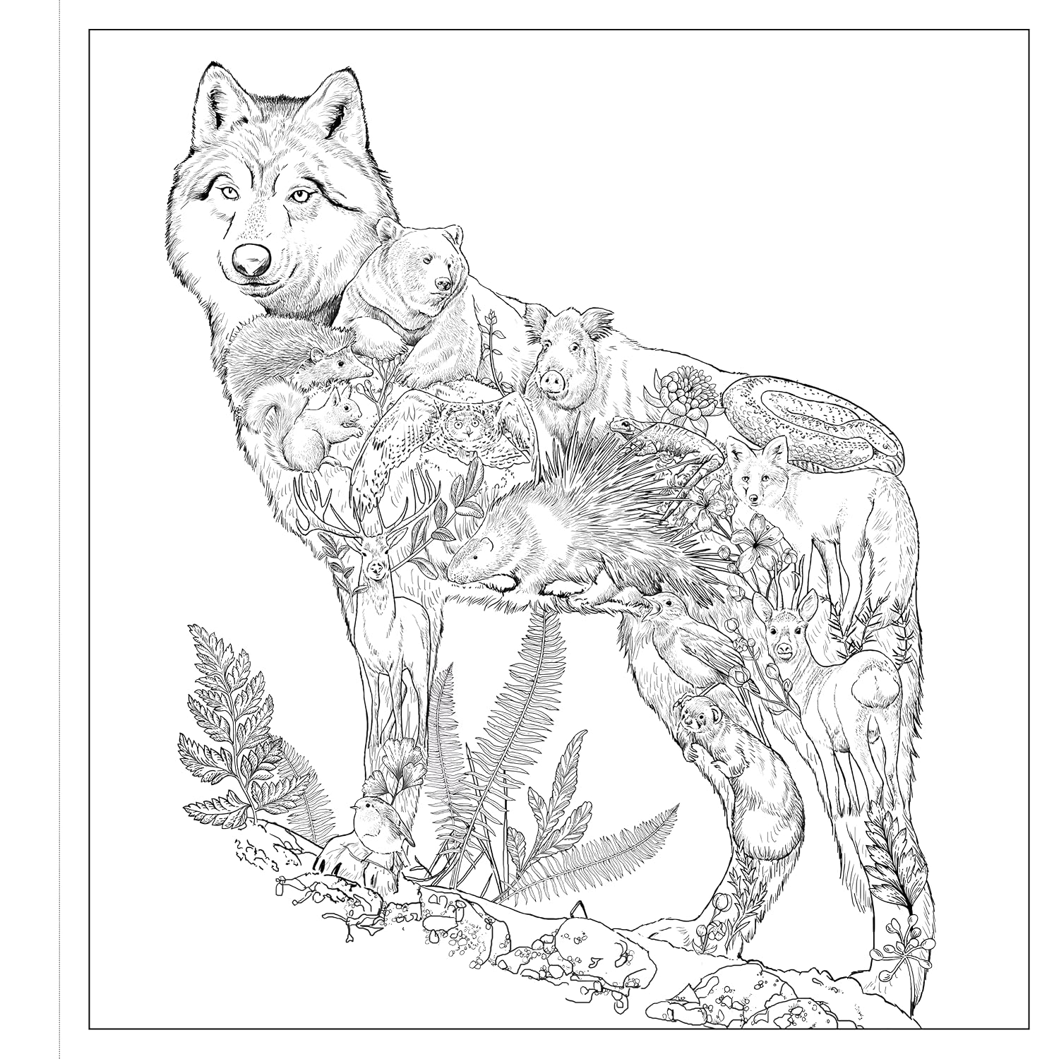 Imaginaria: In The Wild: An Artist's Coloring Book of Wonders Inside the Lines (Paperback)