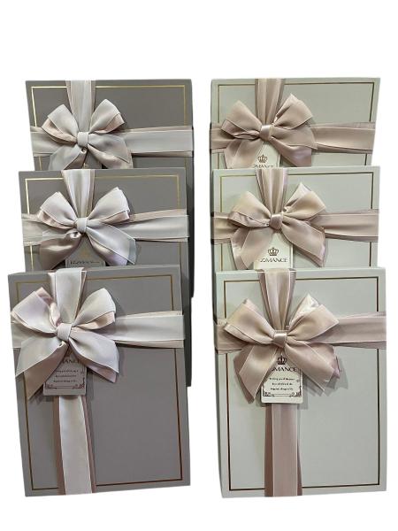 Gift Box (S) 23*17*6.5 Y91307