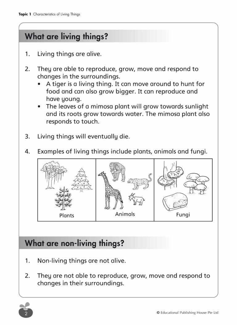 Primary 3 Science Revision Workbook