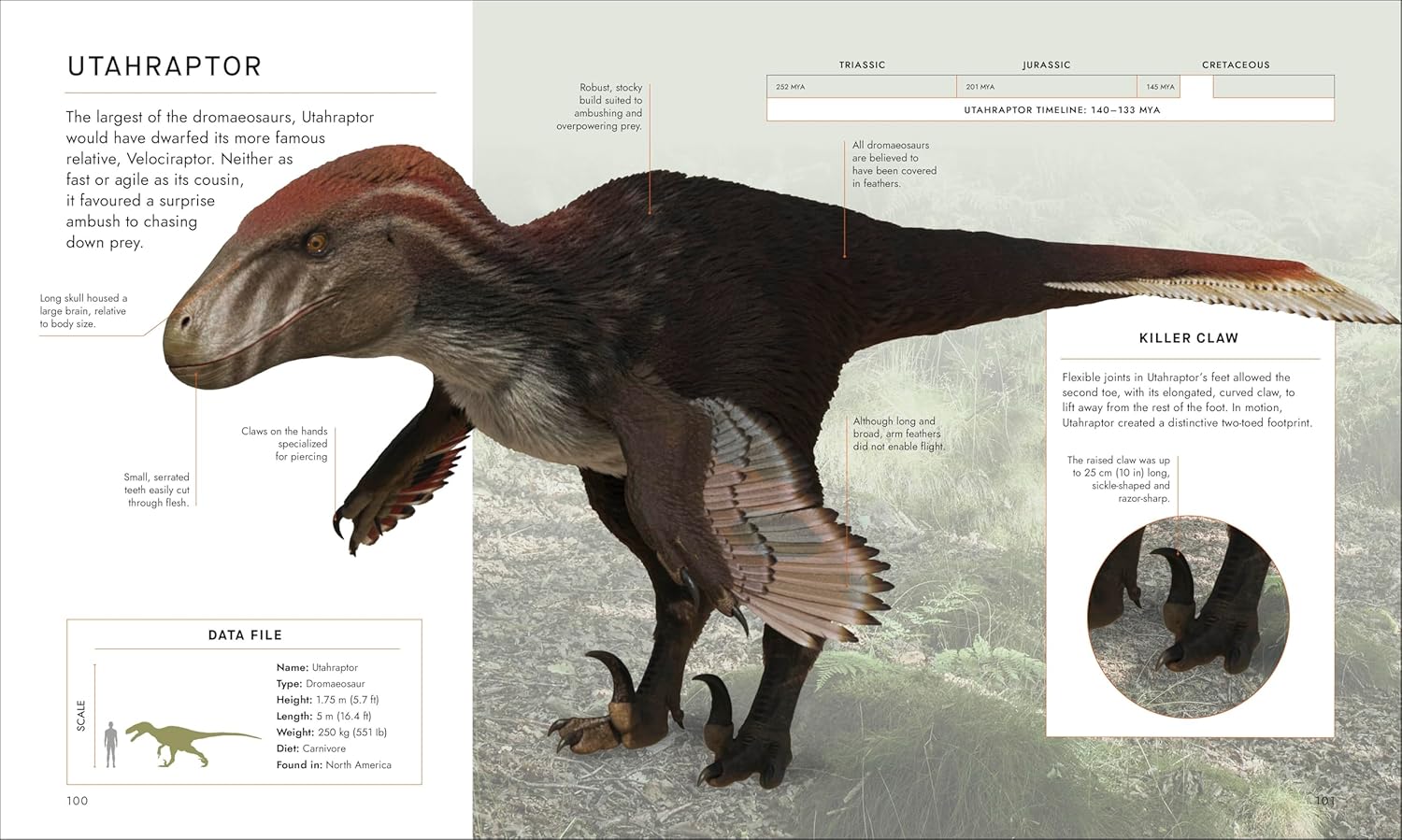 BBC Walking With Dinosaurs: Uncovering the Secret Stories of Prehistoric Life (Hardcover)