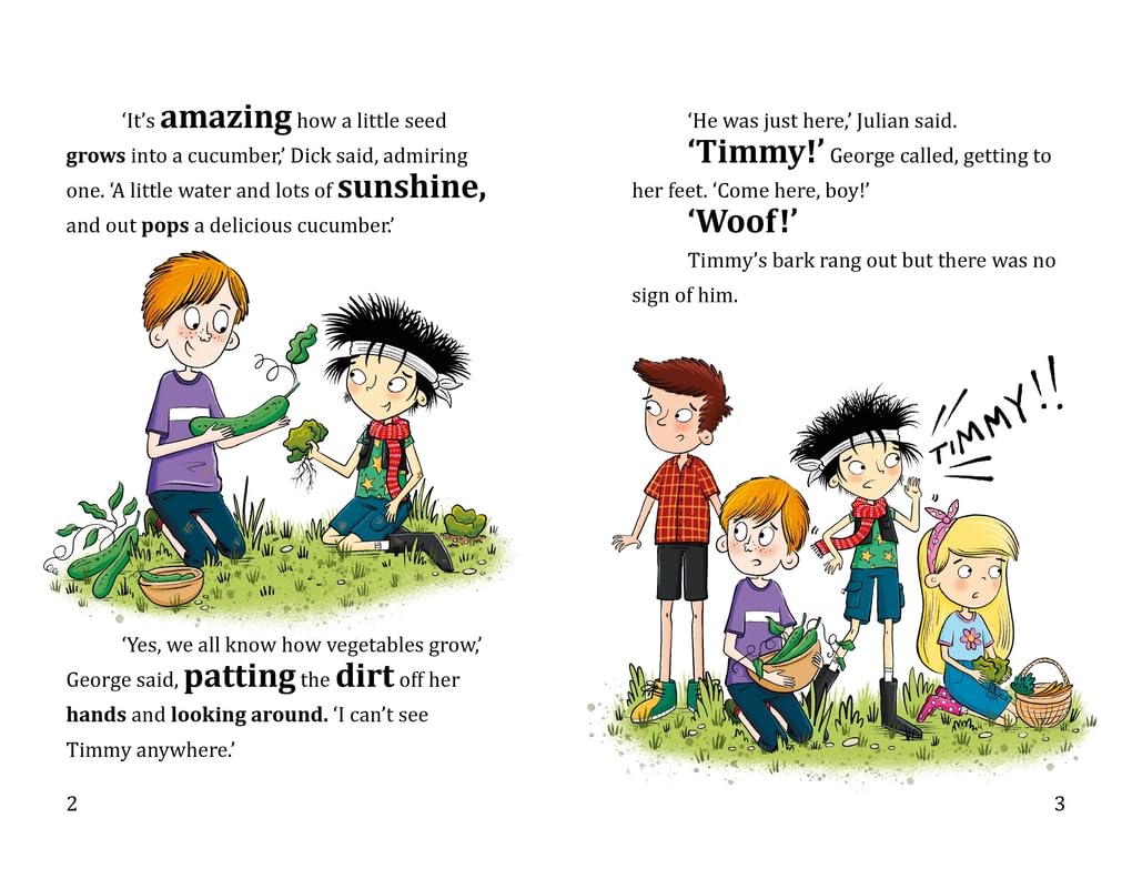 Hodder Childrens Books Famous Five Colour Short Stories Trouble at the Farm (Famous Five Short Stories). Paperback