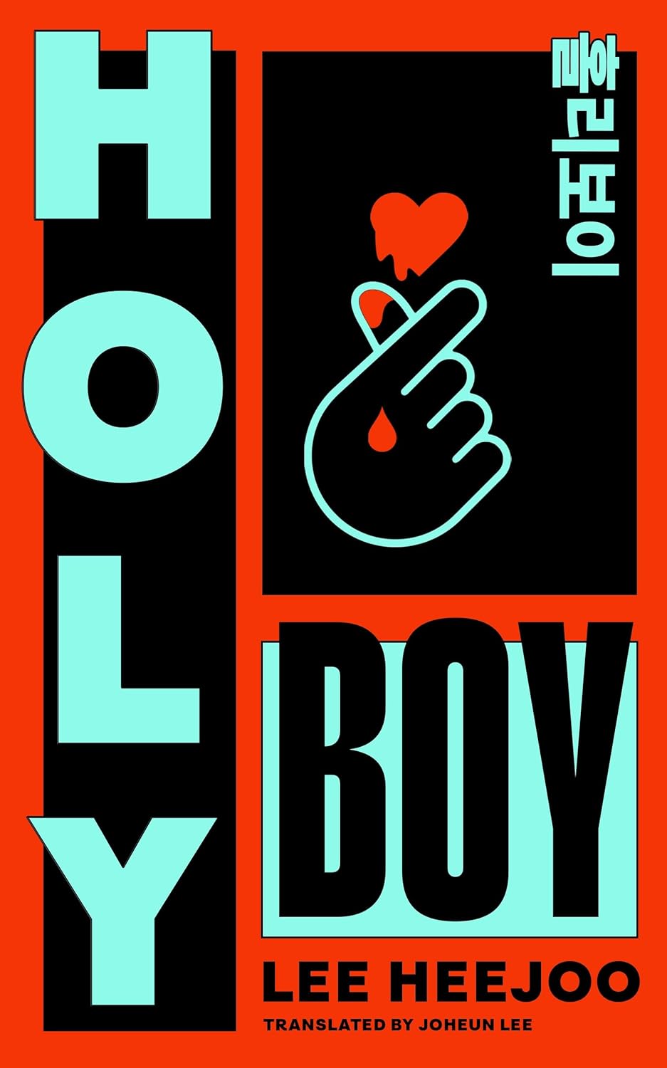 Holy Boy (Paperback)