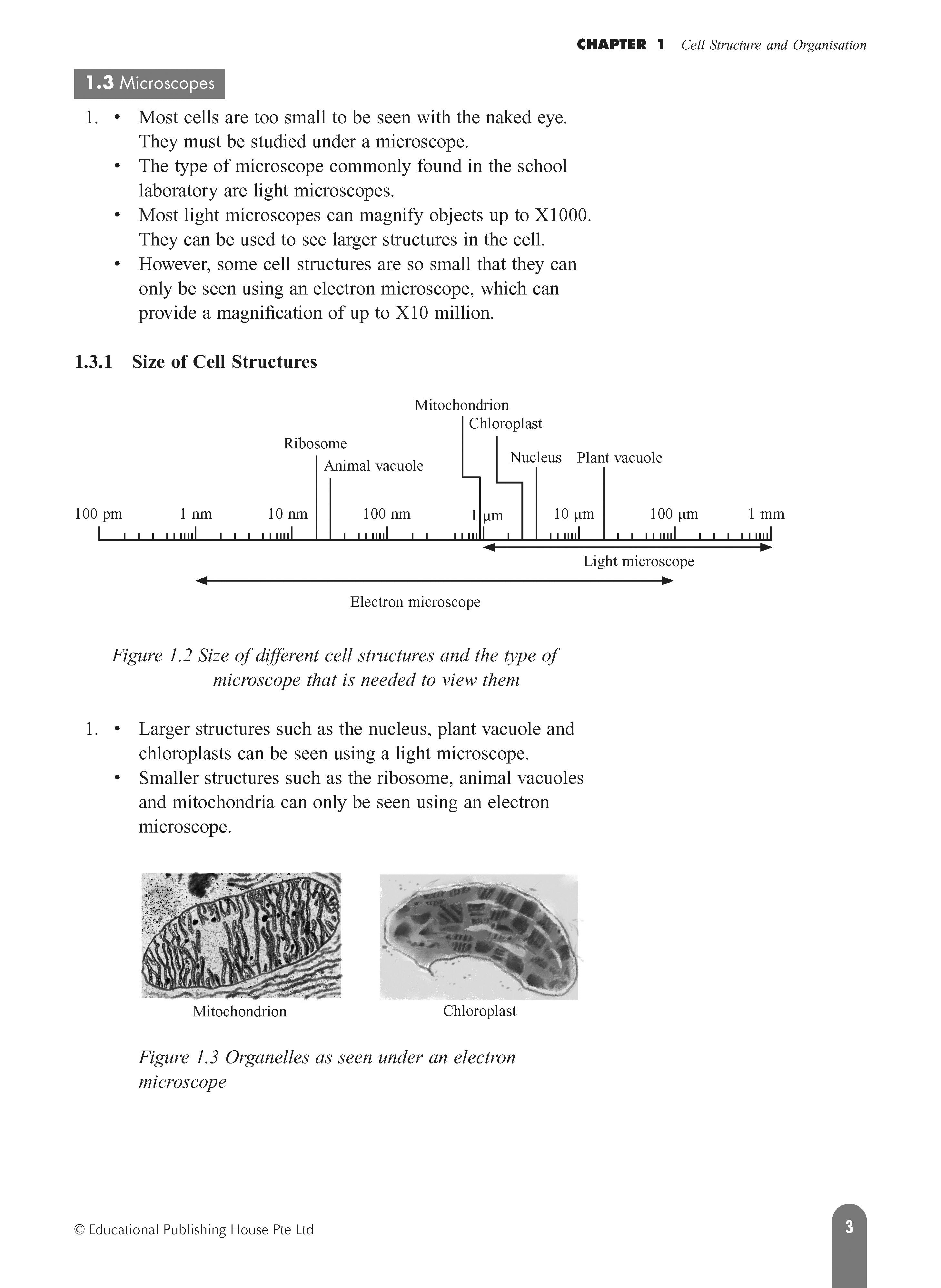 O/N Level (G3/G2) Science Biology Fast Forward