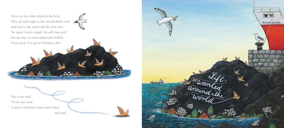 The Snail and the Whale (Paperback)