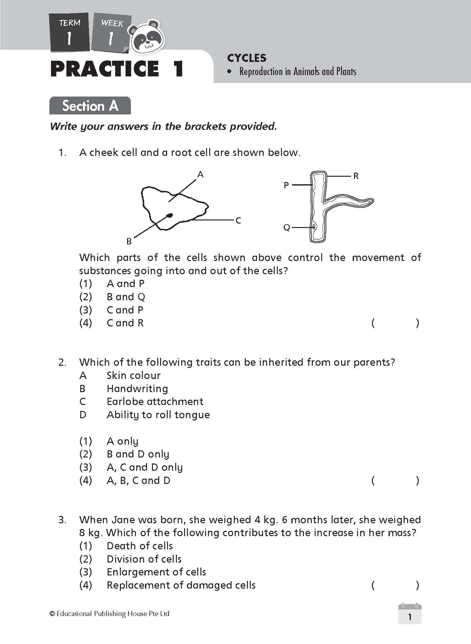 Primary 5 Science Weekly Revision - 3rd Edition