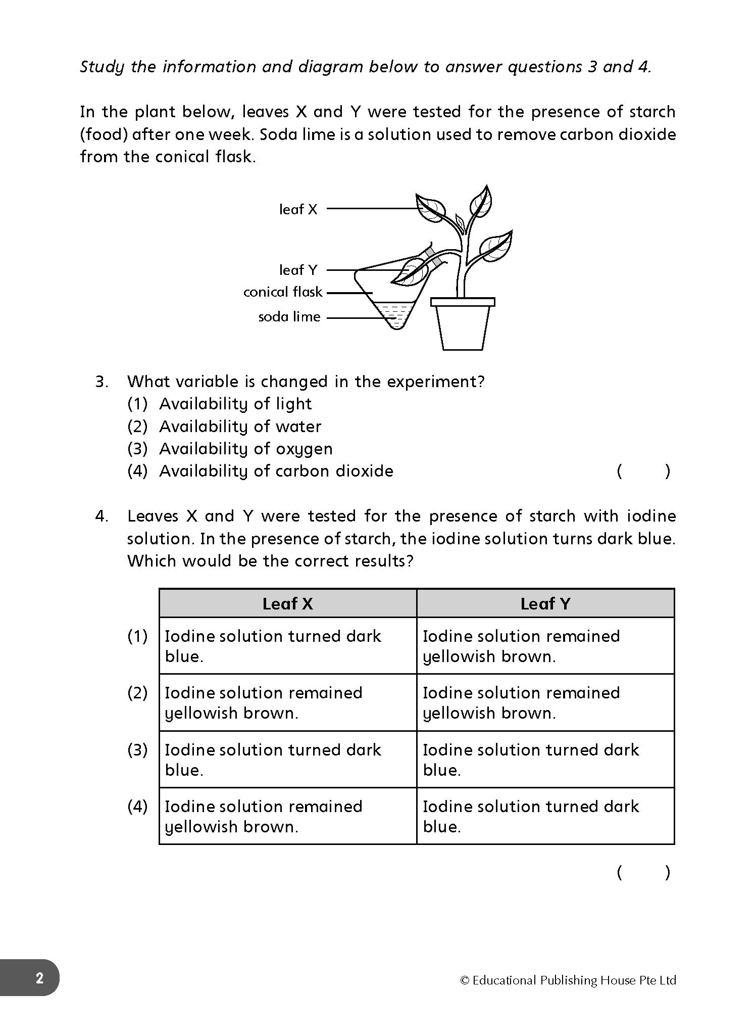 Primary 6 Daily Dose of Science 