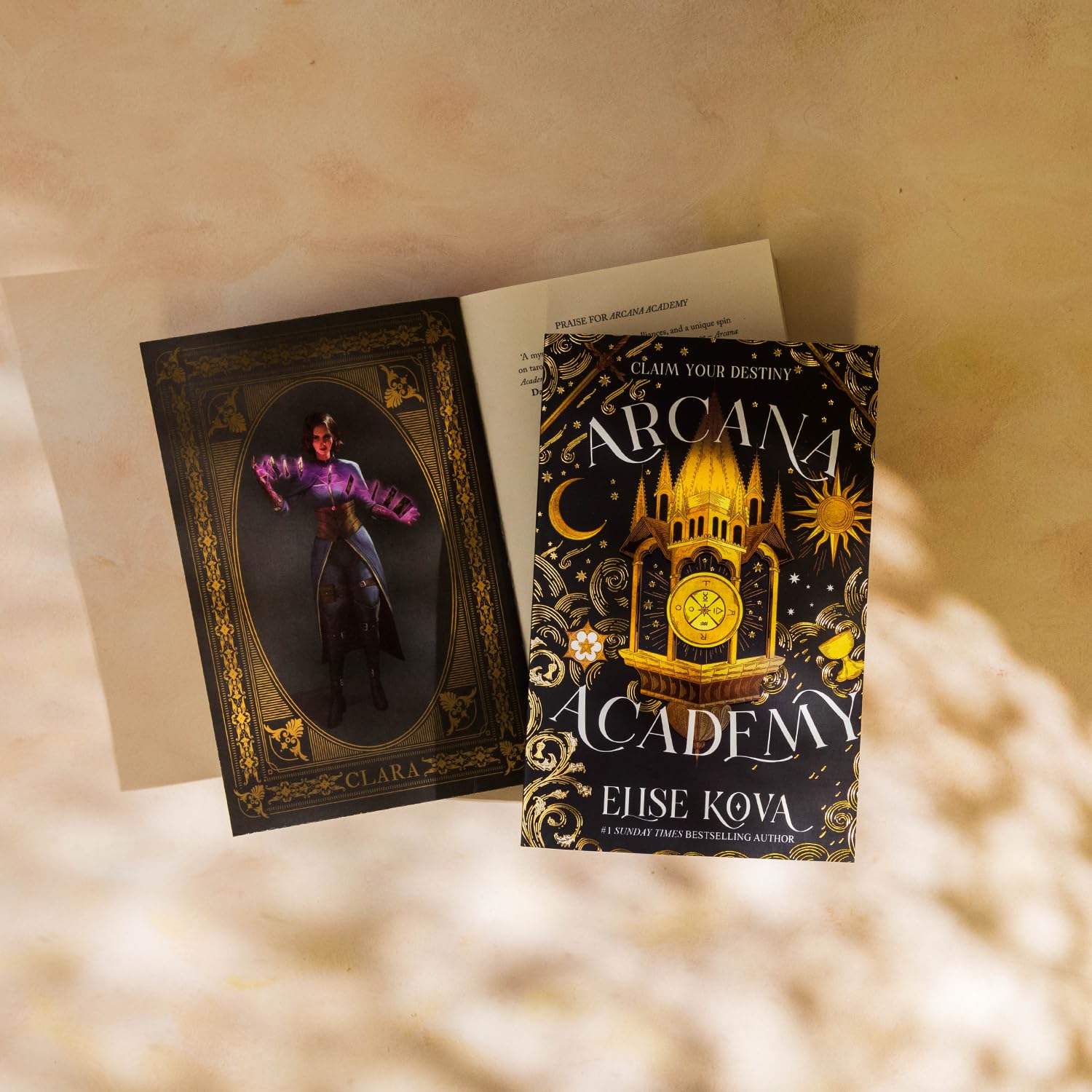 Arcana Academy (Paperback)