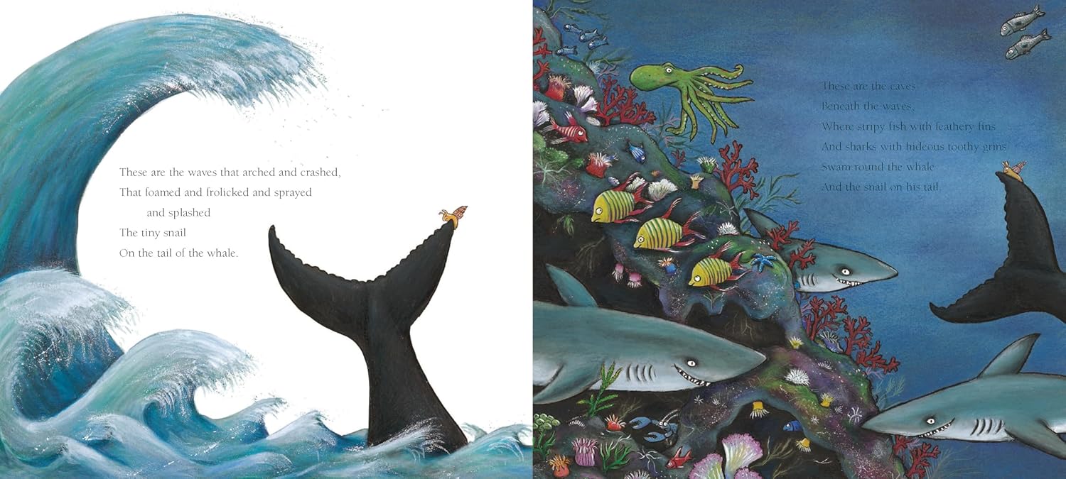 The Snail and the Whale (Paperback)