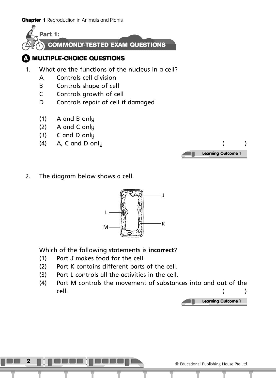 Primary 5 Science Commonly-Tested & Challenging Exam Questions