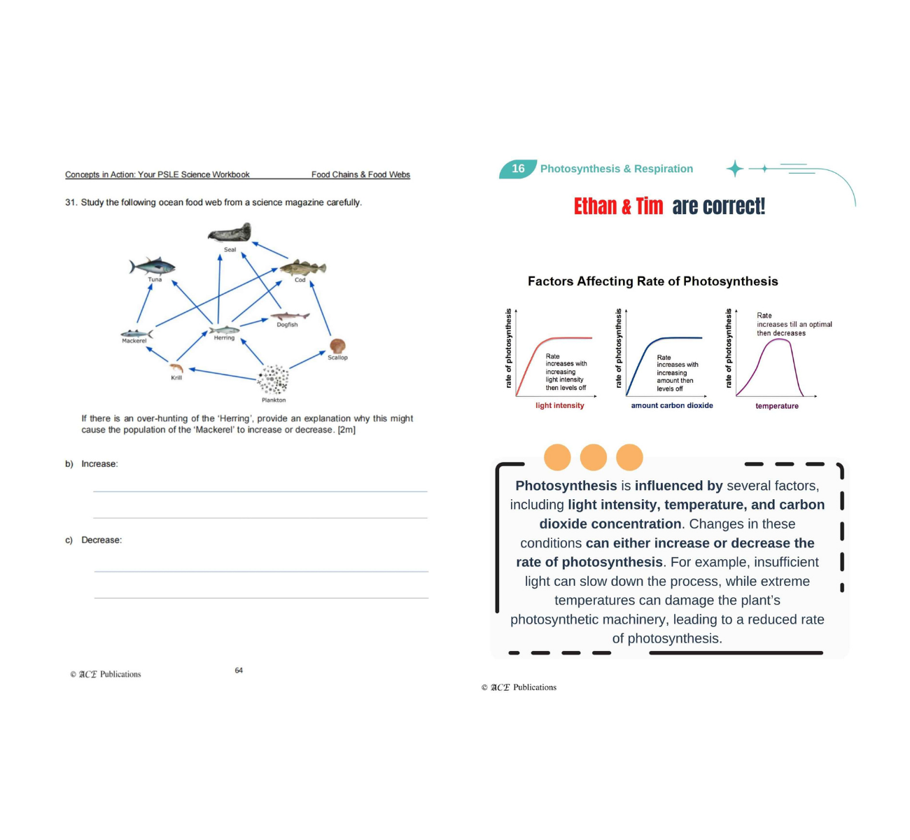 Primary 6 Science Bundle – Life Sciences (Get Your Concepts Right + Concepts In Action)