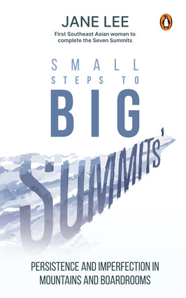 Small Steps To Big Summits: Peristence and Imperfection in Mountains and Boardroom (Paperback)