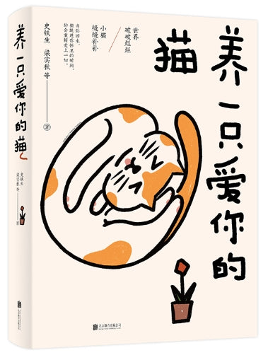 养一只爱你的猫