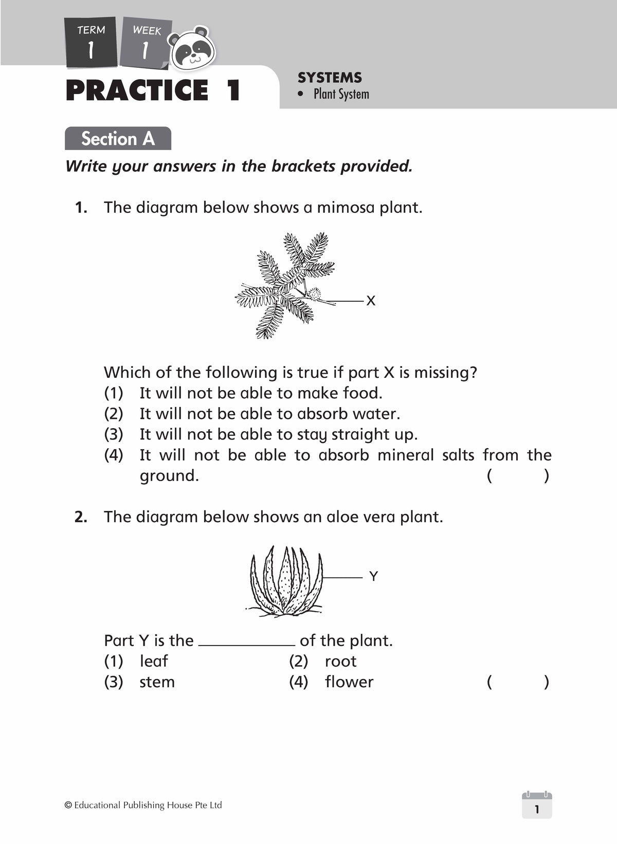 Primary 4 Science Weekly Revision (3rd Edition)