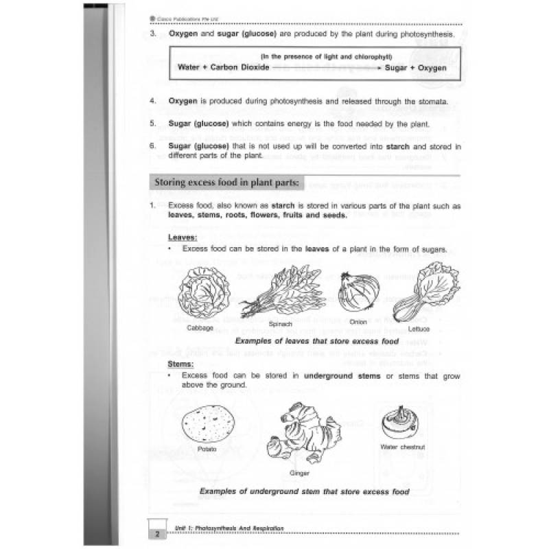 New Topical Science 6