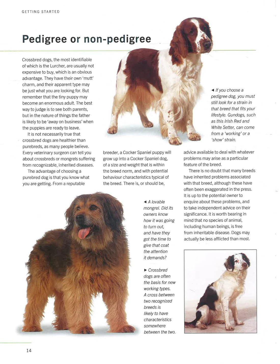 The Ultimate Encyclopedia Of Dogs - Breeds & Care – Popular Book