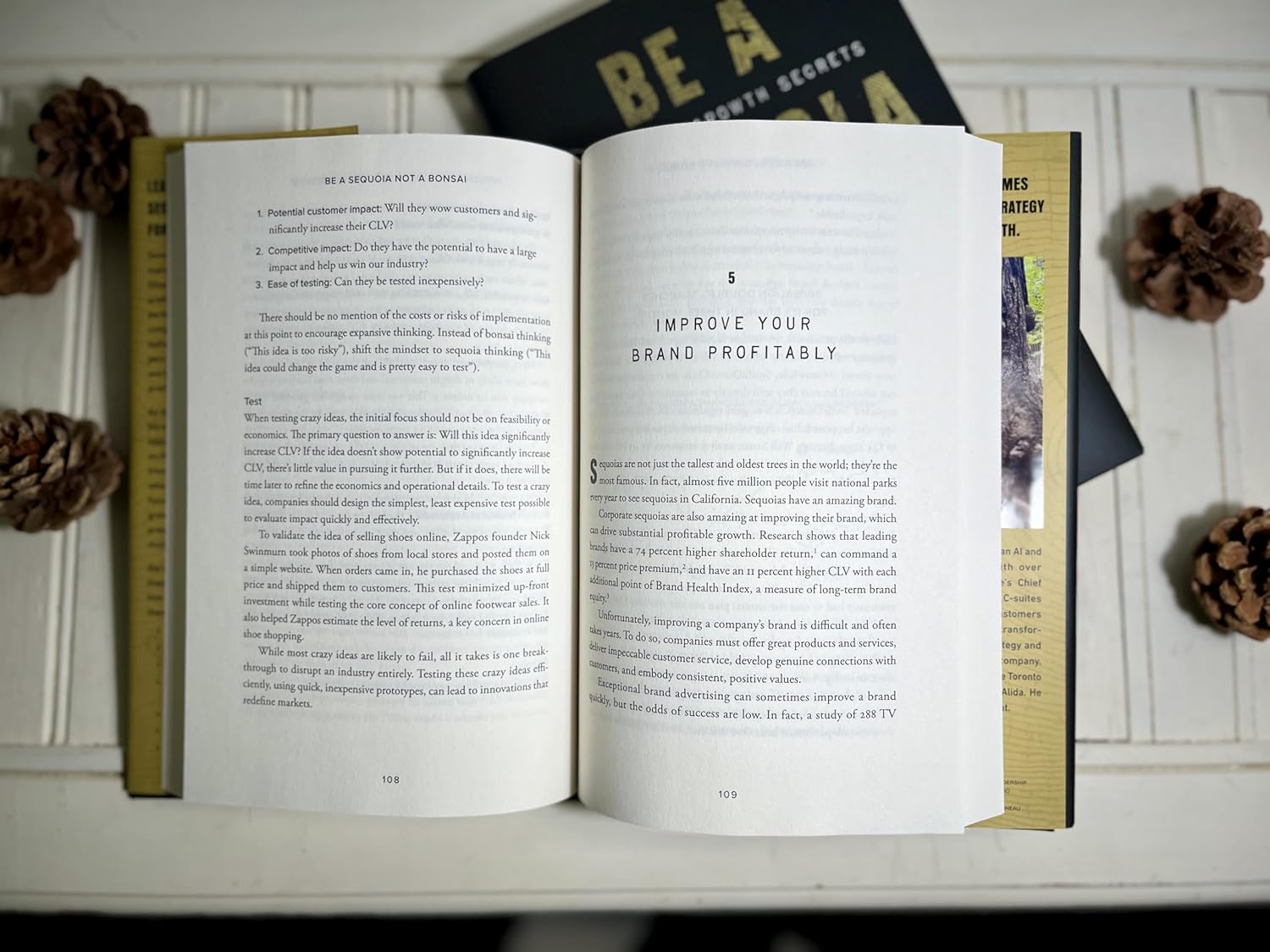 Be a Sequoia, Not a Bonsai: The Seven Growth Secrets of the World’s Most Successful Companies (Hardcover)