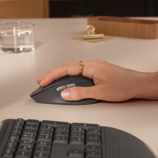 Logitech Signature Comfort Plus M850 L - Graphite
