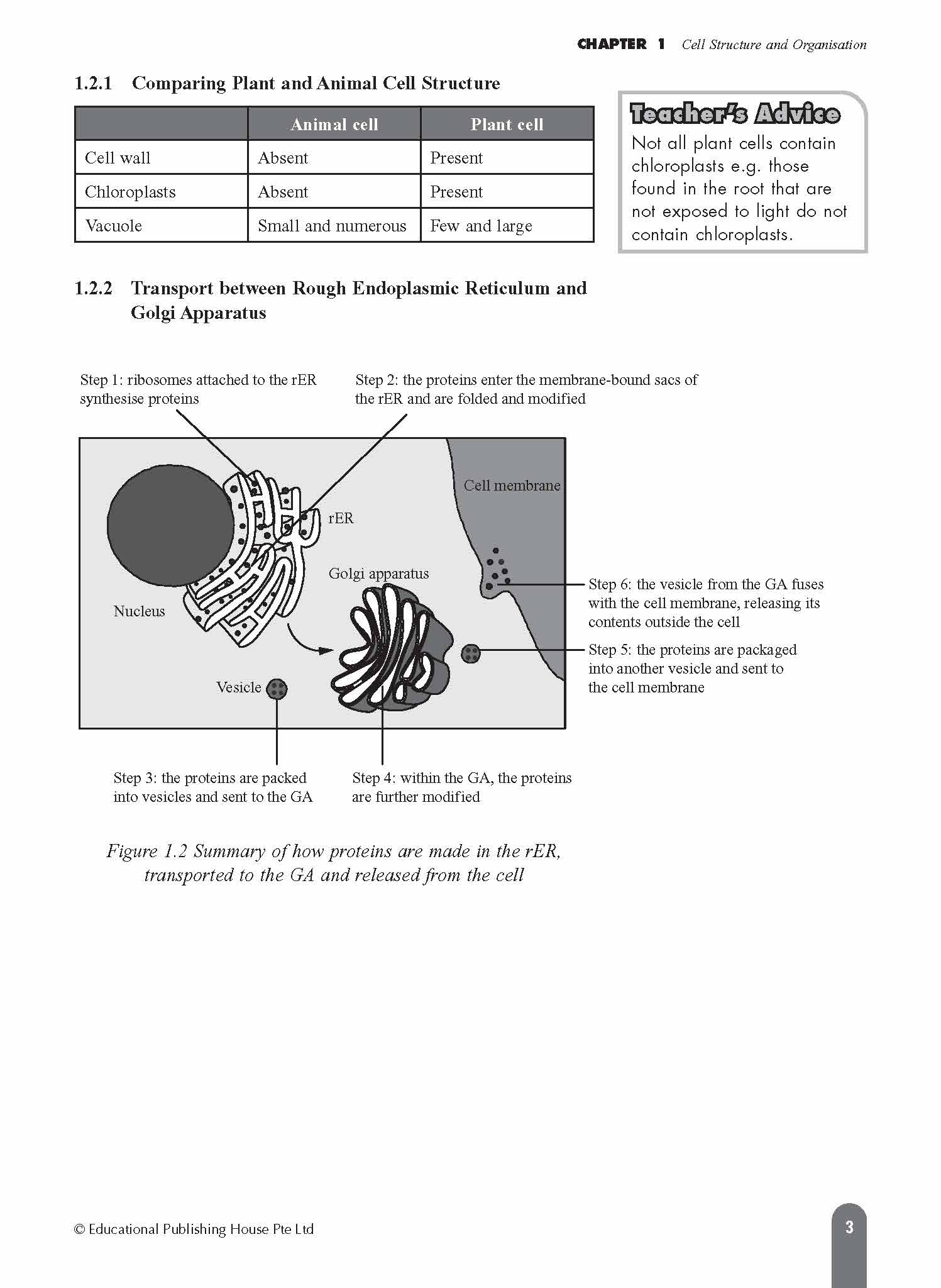 O Level/G3 Biology Fast Forward