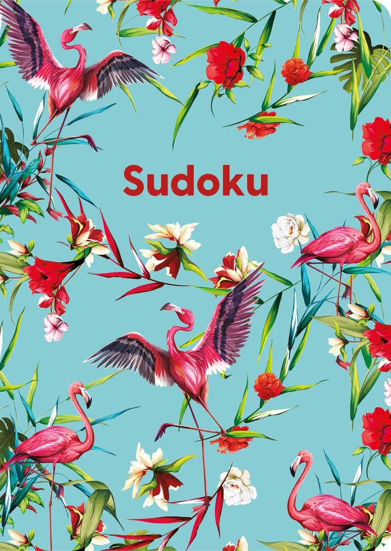 Sudoku: Over 130 Puzzles (Arcturus Perfect Puzzles) Paperback
