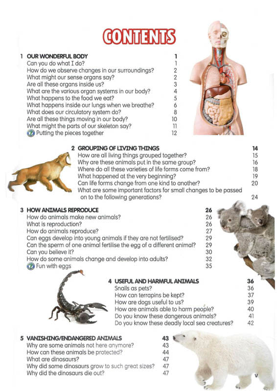 Mini Science Encyclopedia - 8th Edition