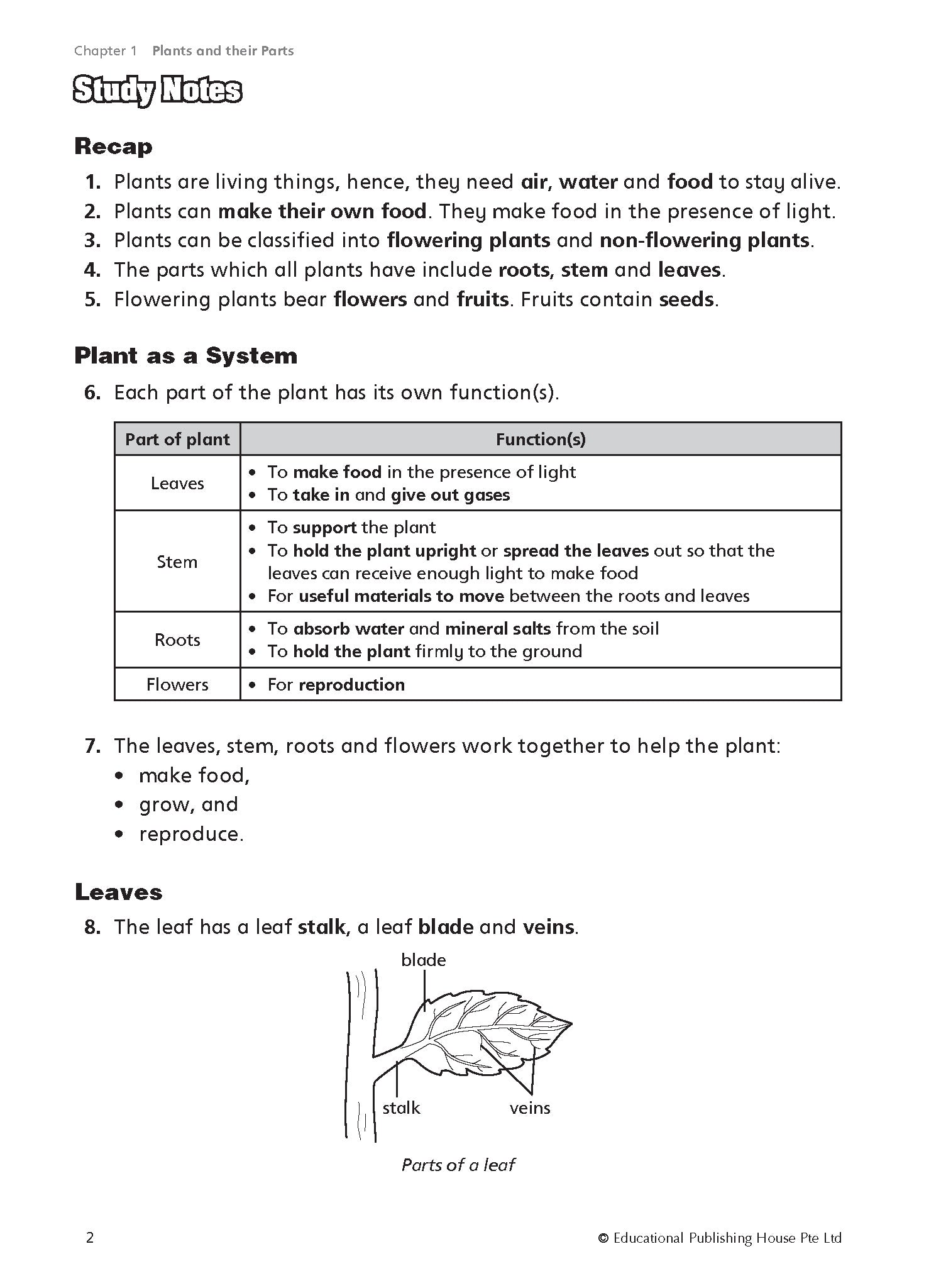 P4 Must Know Science Process Skills & Key Words 