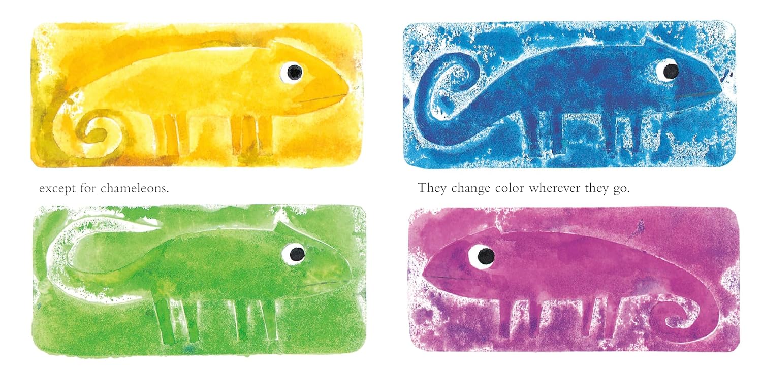 A Color of His Own with Color Wheel (Board Book)