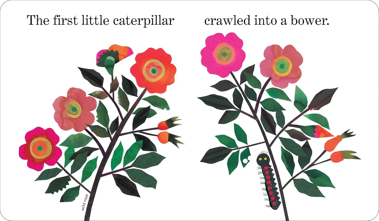 Ten Little Caterpillars (Classic Board Books)