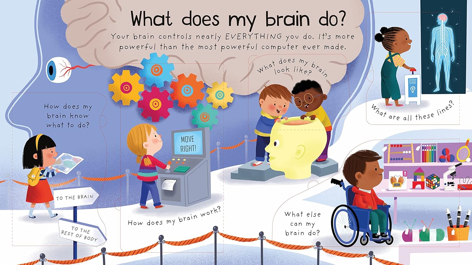 First Questions and Answers: How Does My Body Work?