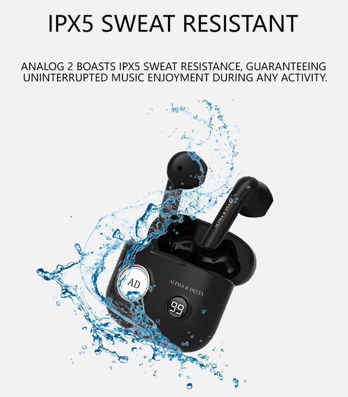 Alpha & Delta Analogue 2 Wireless Earbuds Black