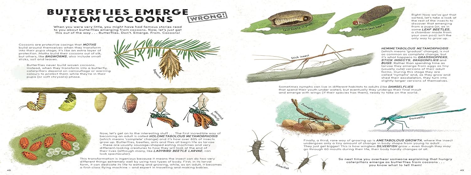 Everything You Know About Minibeasts is Wrong!