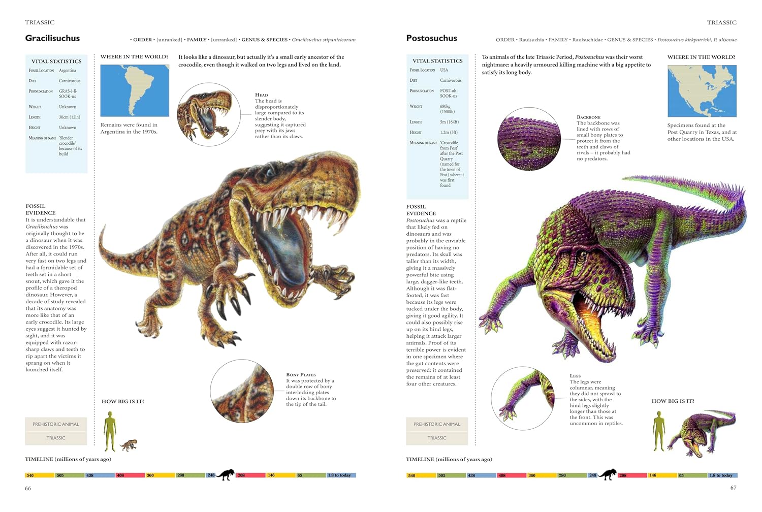 Encyclopedia of Dinosaurs (Hardcover)